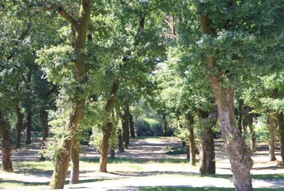 A Tafona * Caldas De Reis